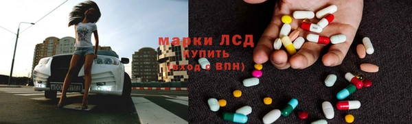 PSILOCYBIN Строитель