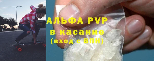 PSILOCYBIN Строитель