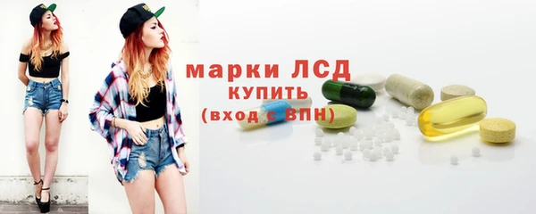 PSILOCYBIN Строитель