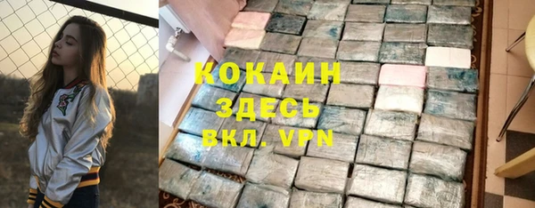 PSILOCYBIN Строитель