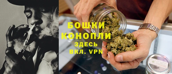 PSILOCYBIN Строитель