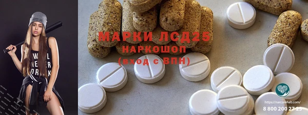 PSILOCYBIN Строитель