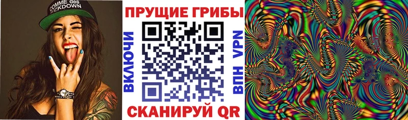 Купить  Строитель  Псилоцибиновые грибы MAGIC MUSHROOMS 